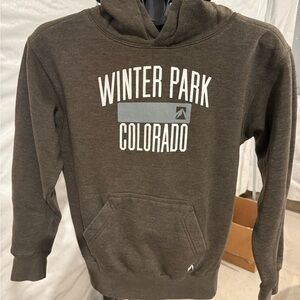 Winter Park Colorado Brown Hoodie